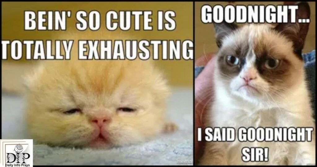 Cute and Funny Good Night Quotes for Friends